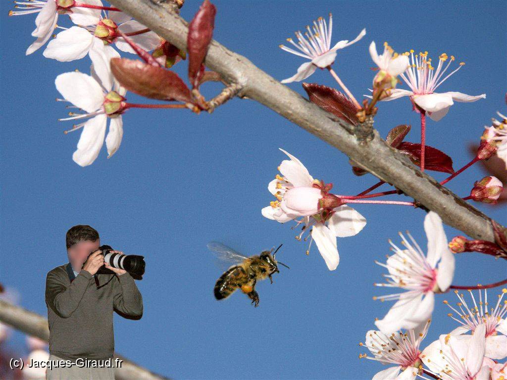 2005-03-28 15-51-13 Fin-Mars 193,0mm 1_640_eme F7,1 (E)(B).JPG